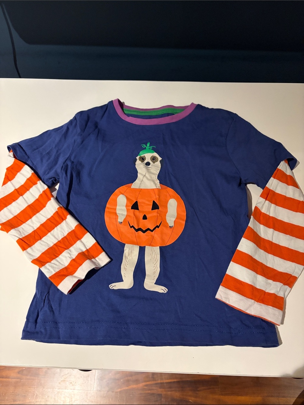 (2/$25) Mini Boden Halloween T-shirt